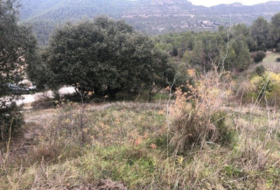 Rocafort 419&nbsp;m² 