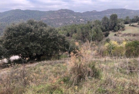 Rocafort 419&nbsp;m² 