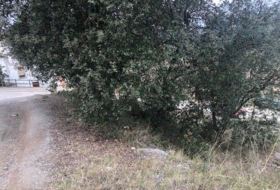 Rocafort 419&nbsp;m² 