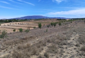 el Pinós 18889&nbsp;m² 