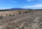 Земля на продажу у города Pinoso Фото