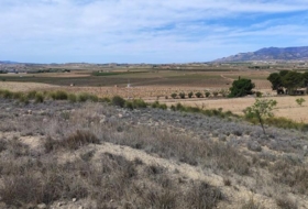 el Pinós 18889&nbsp;m² 