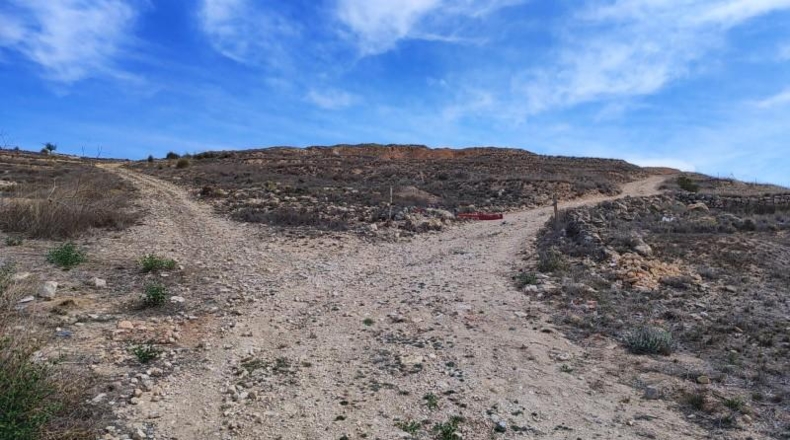 Alicante - el Pinós - 18889m2