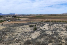 el Pinós 18889&nbsp;m² 