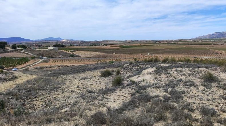 Alicante - el Pinós - 18889m2