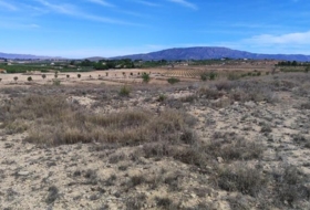 el Pinós 18889&nbsp;m² 