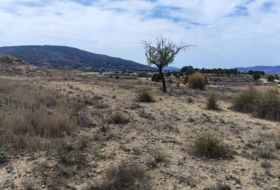 el Pinós 18889&nbsp;m² 