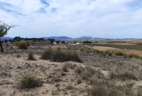 el Pinós 18889&nbsp;m² 