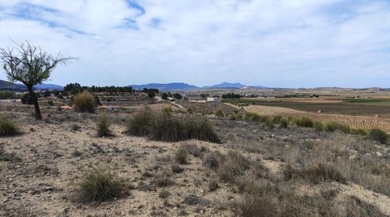 Alicante - el Pinós - 18889m2
