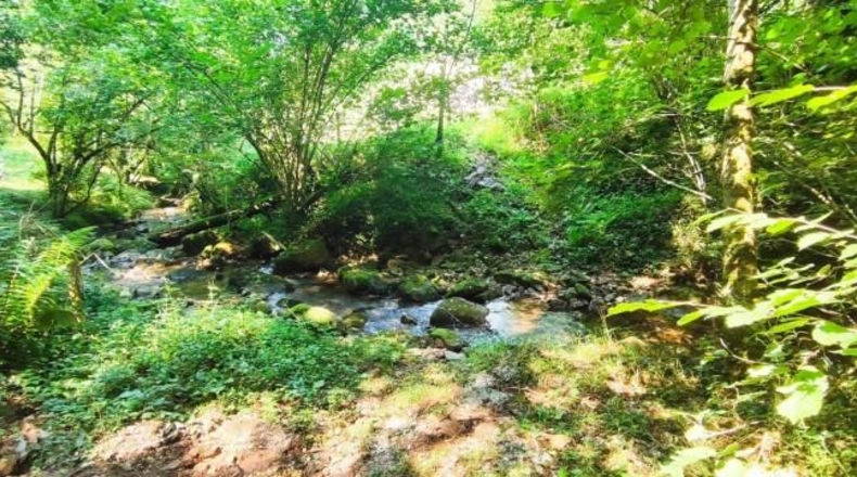 Cantàbria - Selaya - 1604m2
