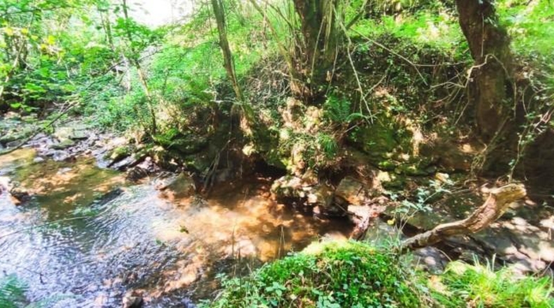 Cantàbria - Selaya - 1604m2