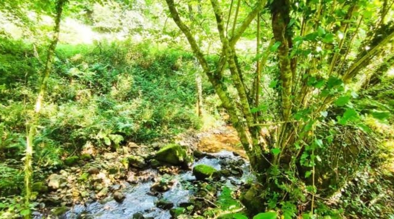 Cantàbria - Selaya - 1604m2