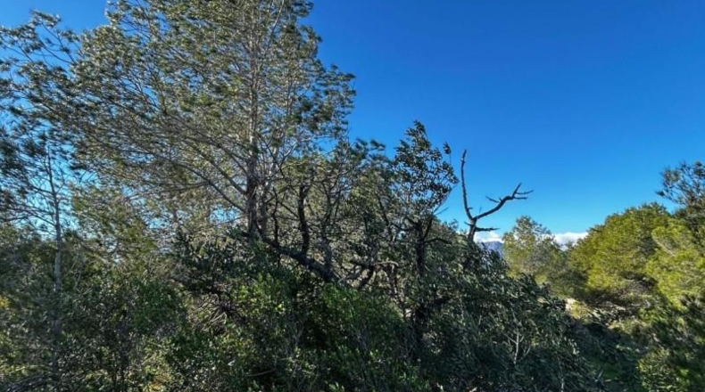 Tarragona - Tortosa - 6537m2