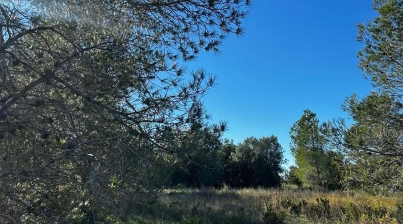 Tarragona - Tortosa - 6537m2