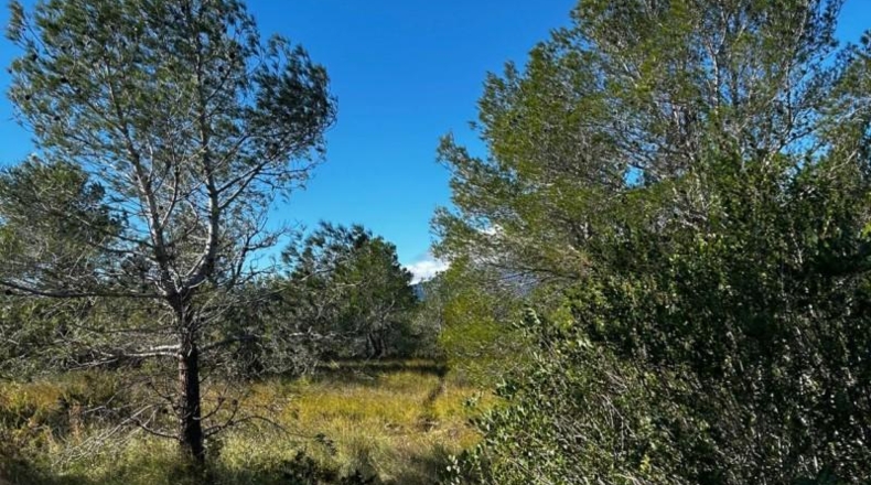 Tarragona - Tortosa - 6537m2
