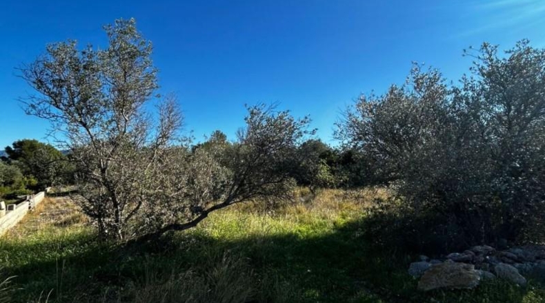 Tarragona - Tortosa - 6537m2