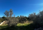 Xalet independent amb terreny en venda a la España, Tortosa, ref.: TR398958 foto