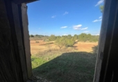 Xalet independent amb terreny en venda a la España, la Torre del Comte, ref.: TR398645 foto