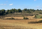 Xalet independent amb terreny en venda a la España, la Torre del Comte, ref.: TR398645 foto