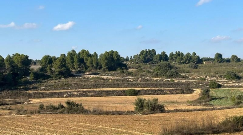 Teruel - Torre del Compte - 52414m2