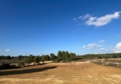 Xalet independent amb terreny en venda a la España, la Torre del Comte, ref.: TR398645 foto