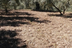 Almeria 7000&nbsp;m² 