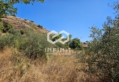 Casa amb terreny en venda a la España, Humanes, ref.: TR398429 foto
