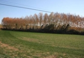Non-developable land for sale on España, Sils, ref: TR397856 photo