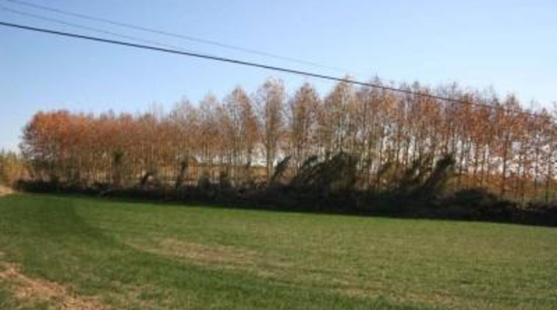 Comunidad de Madrid - Majadahonda - 16193m2