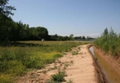 Non-developable land for sale on España, Sils, ref: TR397856 photo