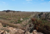 Terreny no urbanitzable en venda a la España, Montfort, ref.: TR388421 foto