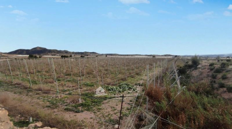 Alicante - Monforte del Cid - 13273m2