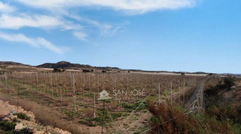 Alicante - Monforte del Cid - 13273m2