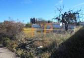 Finca rústica en venda a la España, Huércal-Overa, ref.: TR399454 foto