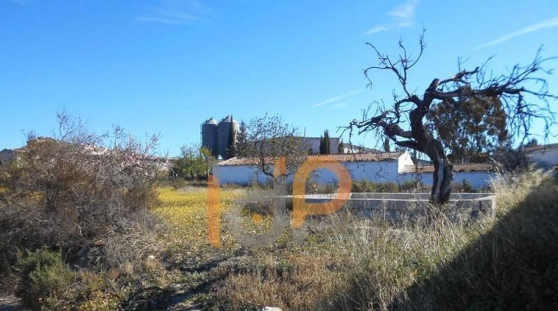 Almeria - Huércal-Overa - 7992m2