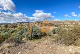 Huércal-Overa 7992&nbsp;m² 