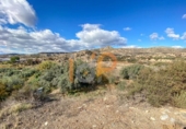 Finca rústica en venda a la España, Huércal-Overa, ref.: TR399454 foto
