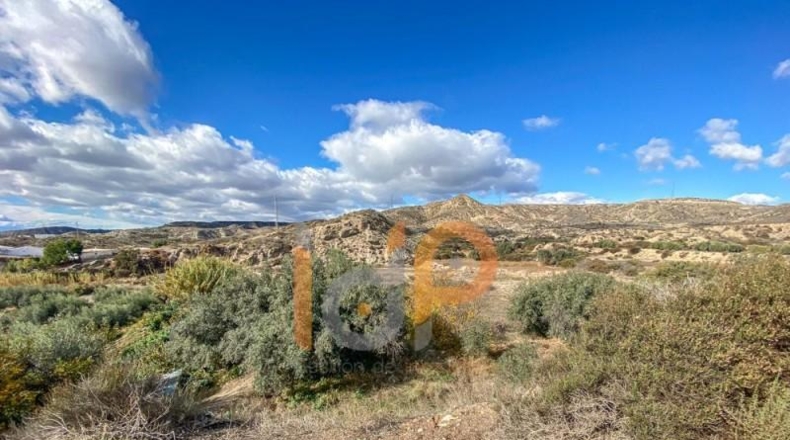 Almeria - Huércal-Overa - 7992m2