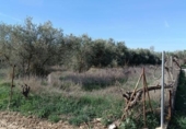 Земля на продажу у города Villa de Otura Фото