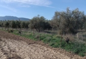 Земля на продажу у города Villa de Otura Фото