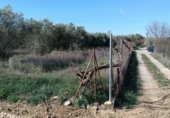 Земля на продажу у города Villa de Otura Фото