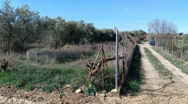 Asturias - Los Llanos - 3124m2