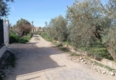 Земля на продажу у города Villa de Otura Фото