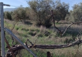 Земля на продажу у города Villa de Otura Фото