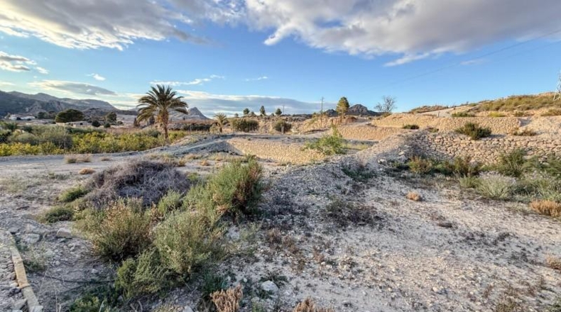 Murcia - Abarán - 2361m2