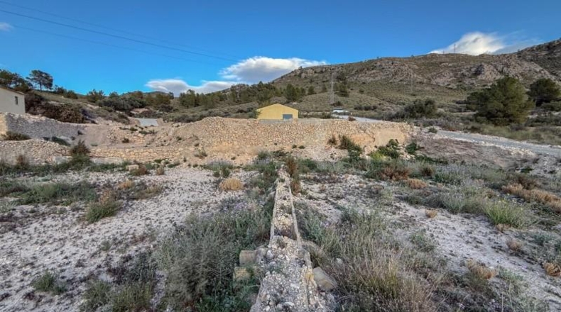 Murcia - Abarán - 2361m2