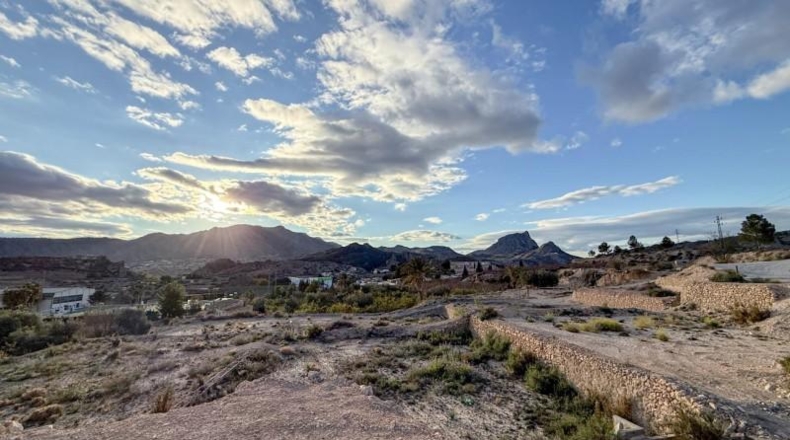 Murcia - Abarán - 2361m2