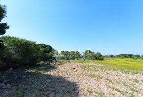 Elx 15000&nbsp;m² 