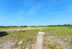 Elx 15000&nbsp;m² 