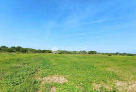 Elx 15000&nbsp;m² 